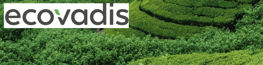 ecovadis header web